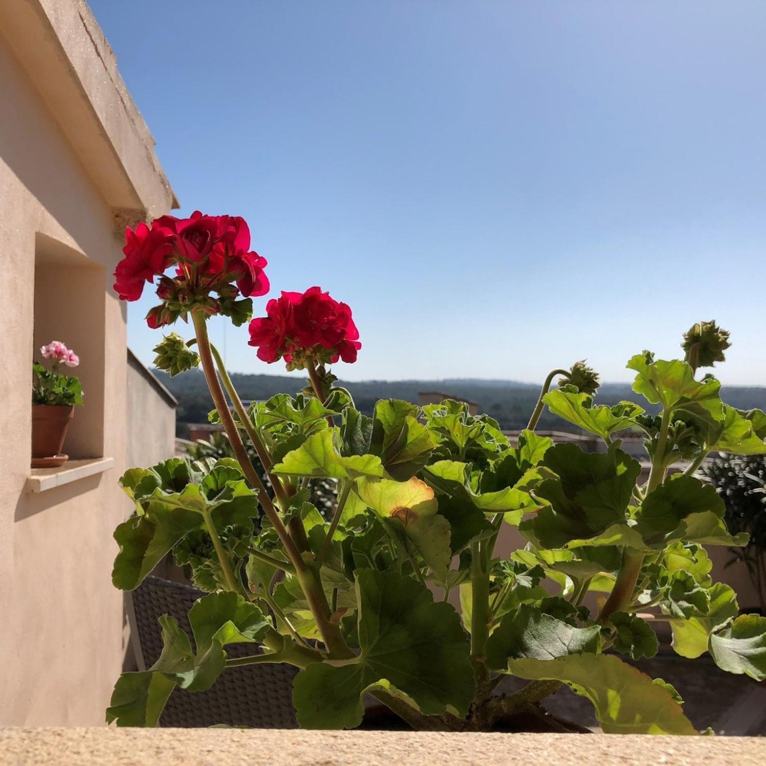 Vista De La Vila - Turismo De Interior. 루비 객실 사진